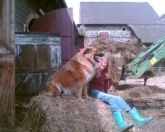 Familien- und Gruppenherberge im alten Hof - Vogelsberg - Bauernhof erleben Familien- und Gruppenherberge im alten Hof - Vogelsberg - Bauernhof erleben