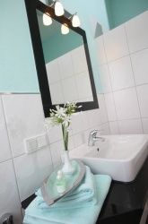 2-Bettwohnung Rauhärige 2-Bettwohnung Rauhärige