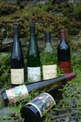 Unsere Weine/ wine Unsere Weine/ wine