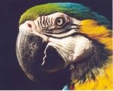 Bild: Zoo Landau in der Pfalz Bild: Zoo Landau in der Pfalz