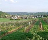 Gasthaus Zur Rotenfelsstube