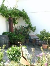 Weingut Silbernagel und Ferienwohnung in der Pfalz Weingut Silbernagel und Ferienwohnung in der Pfalz