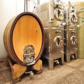 Weingut & Gästehaus - Im Schloßgarten Weingut & Gästehaus - Im Schloßgarten