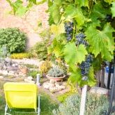 Gästehaus am Pilgerpfad & PFAFF WEINE Gästehaus am Pilgerpfad & PFAFF WEINE