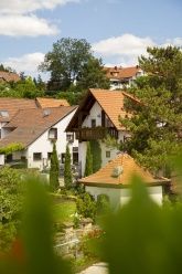 Sauvignon Blanc Sauvignon Blanc