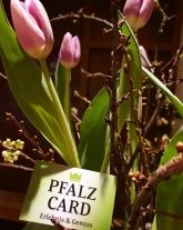 Wohlfühlhotel Alte Rebschule Wohlfühlhotel Alte Rebschule