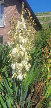 Ferienwohnung Am Heideberg mit sonniger Terrasse Ferienwohnung Am Heideberg mit sonniger Terrasse
