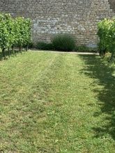 Gästehaus am Pilgerpfad & PFAFF WEINE Gästehaus am Pilgerpfad & PFAFF WEINE