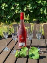 Gästehaus Schmitt und Tacheles Landrestaurant Gästehaus Schmitt und Tacheles Landrestaurant