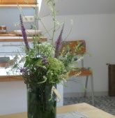 Ferienwohnungen Alte Bürgermeisterei Ferienwohnungen Alte Bürgermeisterei