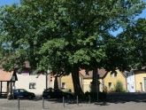 Ferienwohnungen Alte Bürgermeisterei Ferienwohnungen Alte Bürgermeisterei