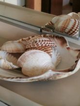 Ferienwohnungen Lenzenhof anno 1720 Ferienwohnungen Lenzenhof anno 1720