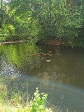 Ferienwohnungen Lenzenhof anno 1720 Ferienwohnungen Lenzenhof anno 1720