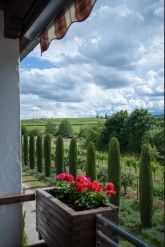 Gästehaus Katharinenhof Gästehaus Katharinenhof