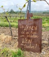 Weinbau & Ferienwohnung Weingärtner Weinbau & Ferienwohnung Weingärtner