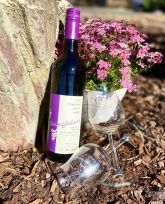 Weinbau & Ferienwohnung Weingärtner Weinbau & Ferienwohnung Weingärtner