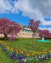 Die kleine Parkanlage hinter dem Haus  Die kleine Parkanlage hinter dem Haus