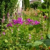 Das Drama in Rot Das Drama in Rot