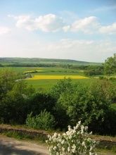 Hotel-Restaurant Gasthaus Brandner Hotel-Restaurant Gasthaus Brandner