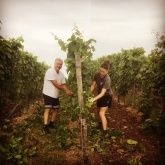 Weingut und Gutsausschank Sans-Lorch Weingut und Gutsausschank Sans-Lorch