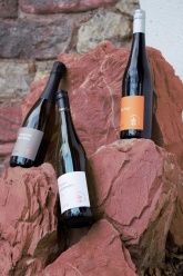 Weingut und Gutsausschank Sans-Lorch Weingut und Gutsausschank Sans-Lorch