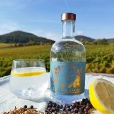 Weingut und Ferienwohnungen Erlenwein Weingut und Ferienwohnungen Erlenwein