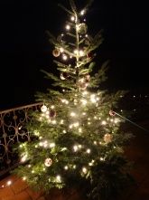 Gasthaus Herrenhof Gasthaus Herrenhof