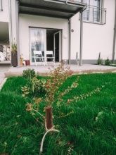 Willy's Ferienzimmer im Tabakdorf Hatzenbühl Willy's Ferienzimmer im Tabakdorf Hatzenbühl