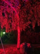 Camping-Mobilheimpark Am Mühlenteich Camping-Mobilheimpark Am Mühlenteich