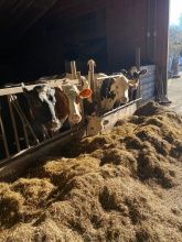 Ihr Urlaubsbauernhof am Edersee und im Nationalpark Kellerwald-Edersee Ihr Urlaubsbauernhof am Edersee und im Nationalpark Kellerwald-Edersee