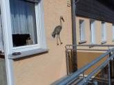 Ferienwohnung Ludwig – Großzügige Nichtraucher-Wohnung mit Balkon