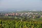 Weingut und Ferienwohnungen Huff-Doll Weingut und Ferienwohnungen Huff-Doll