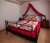 FW-Kastanienblüte FW-Kastanienblüte