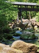 Ferienwohnung Orchideenwiese