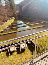 Hotel-Restaurant Forellenzucht Hotel-Restaurant Forellenzucht