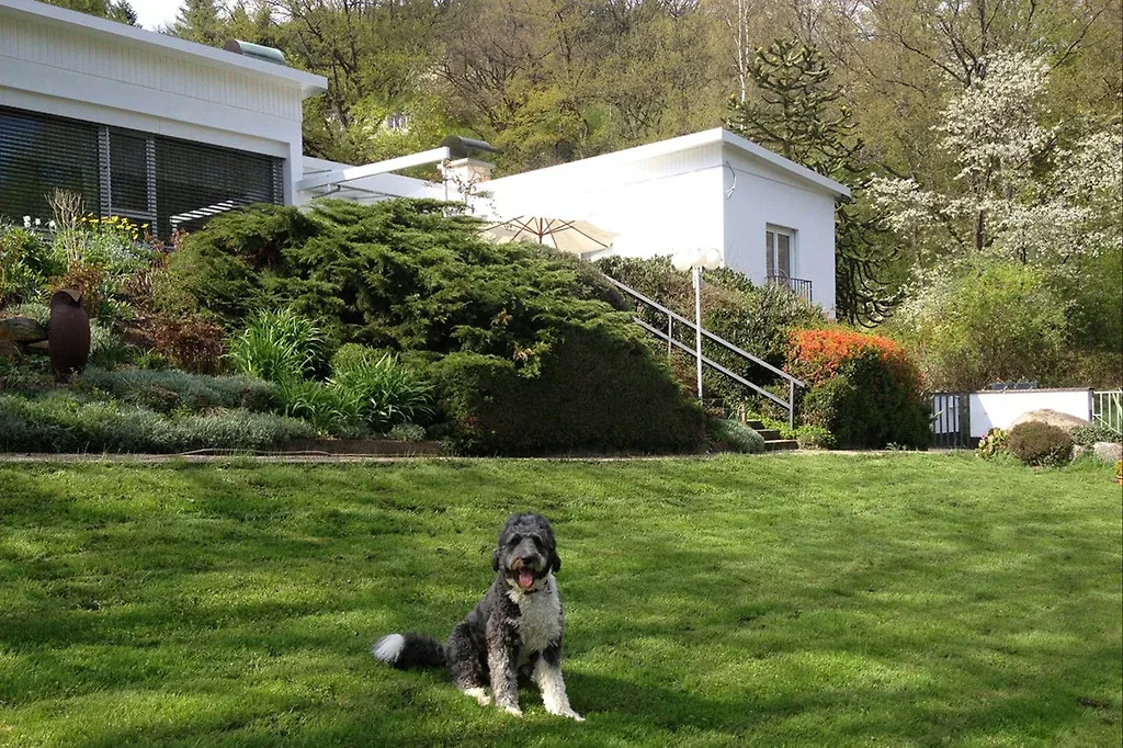 Liegeweise Liegeweise