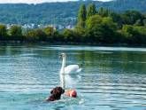 Rhein-Camping Waldshut Rhein-Camping Waldshut