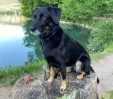 Rhein-Camping Waldshut Rhein-Camping Waldshut