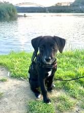 Rhein-Camping Waldshut Rhein-Camping Waldshut