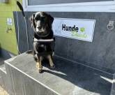 Rhein-Camping Waldshut Rhein-Camping Waldshut