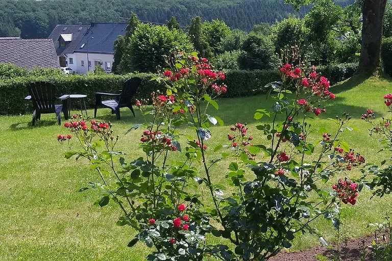 Appartement Igel im Haus Eifelstein