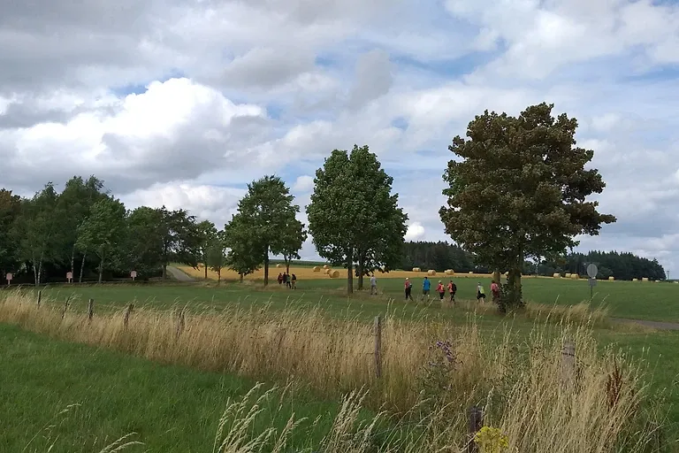 Appartement Igel im Haus Eifelstein