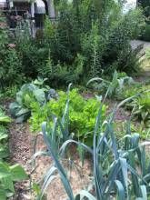 Ferienhaus Landhaus Almyssen