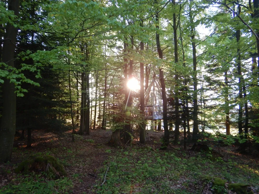 Ferienhaus Bad Herrenalb Talwiese