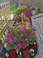 Ferienwohnung Schwarzwaldsteig Ferienwohnung Schwarzwaldsteig