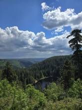 Ferienwohnung Schwarzwaldsteig Ferienwohnung Schwarzwaldsteig