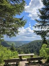 Ferienwohnung Schwarzwaldsteig Ferienwohnung Schwarzwaldsteig