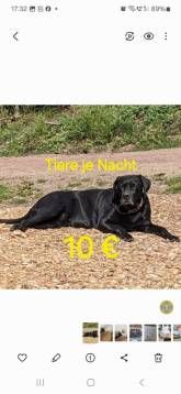 Ferienwohnung Bohnert-Arias Ferienwohnung Bohnert-Arias