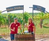 Weingut Seitz-Schreiner & Ferienwohnung - Südliche Weinstraße Weingut Seitz-Schreiner & Ferienwohnung - Südliche Weinstraße