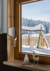 Ferienhaus Apfelbäumchen Hochschwarzwald